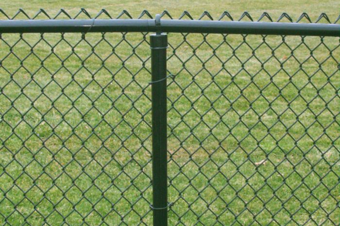 Chain Link